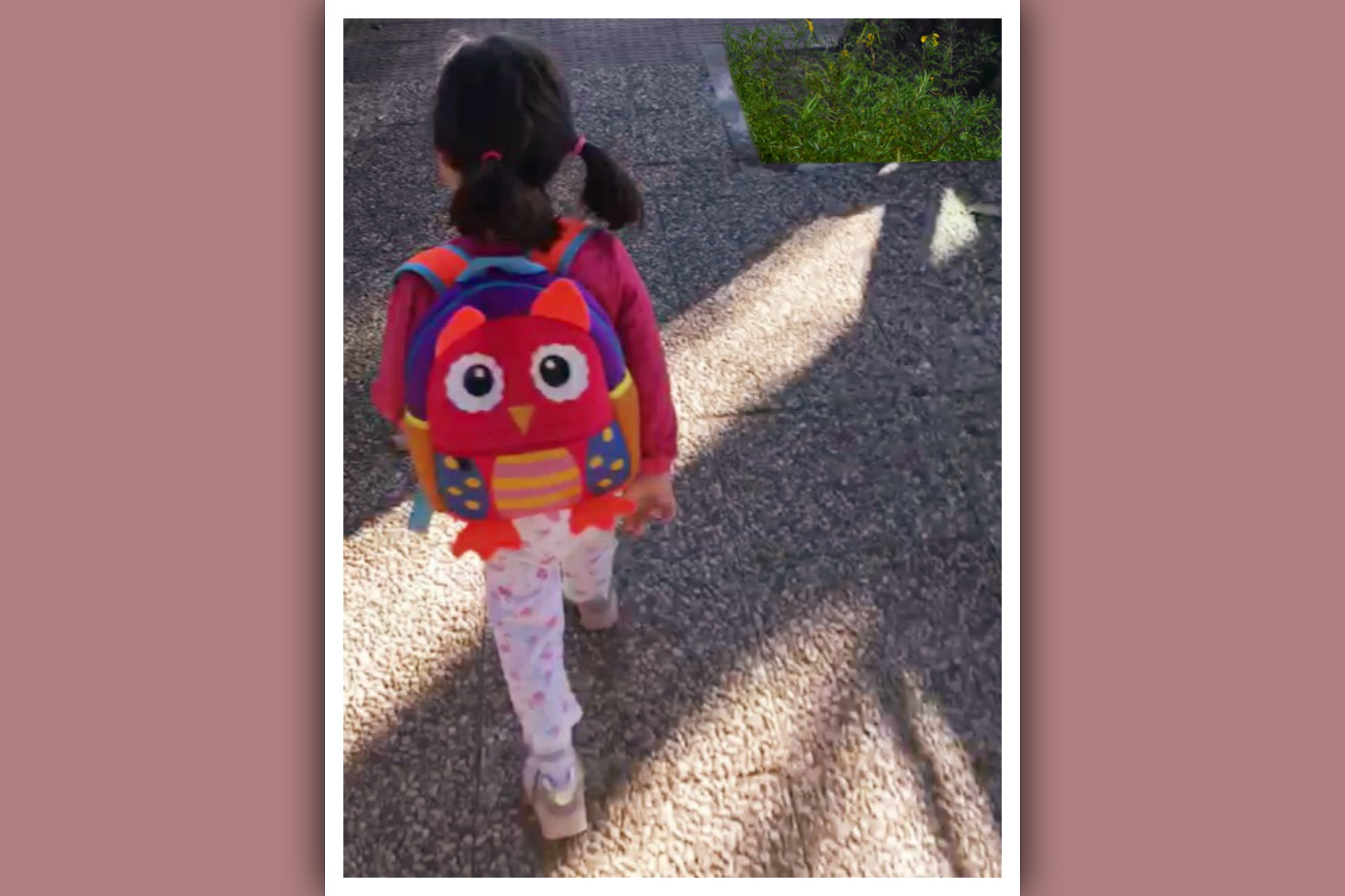 imagen de nina con sindrome de down con mochila