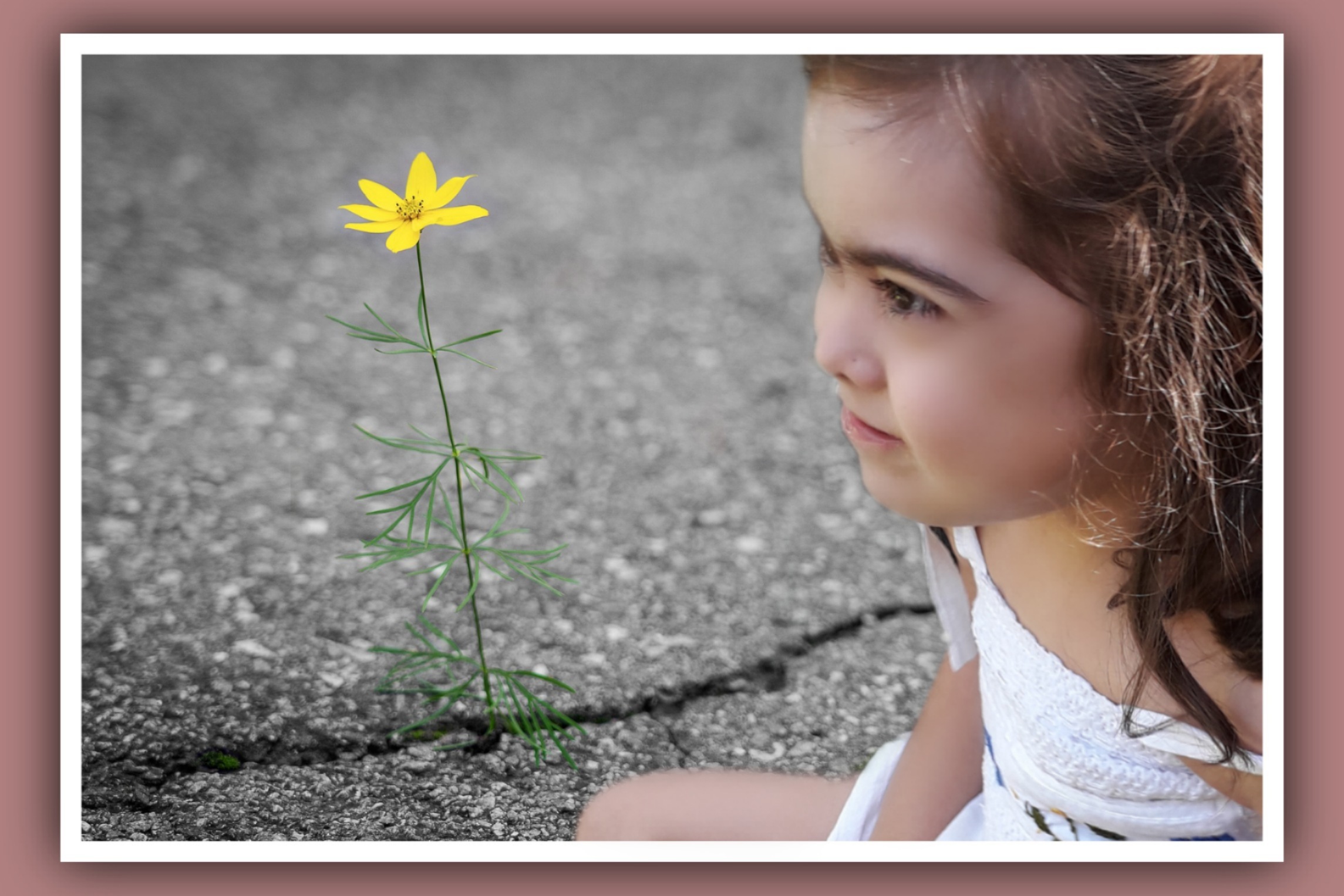 imagen nina con sindrome down mirando flor crece en la carretera