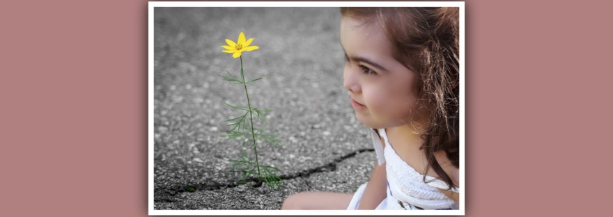 imagen nina con sindrome down mirando flor crece en la carretera