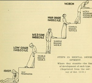 Clasificación de los defectos de inteligencia en 1916, Virginia - EEUU