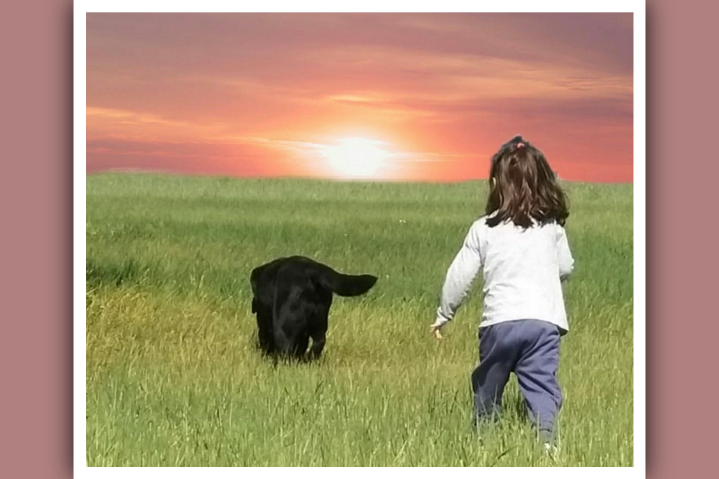 niña y perro andando por el campo al atardecer