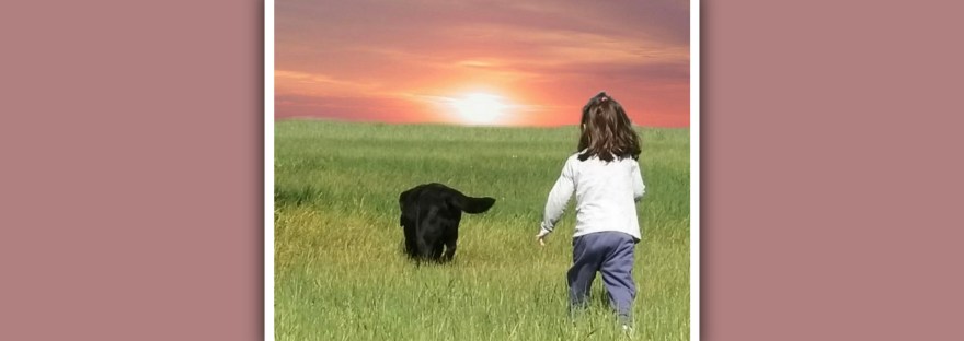 niña y perro andando por el campo al atardecer