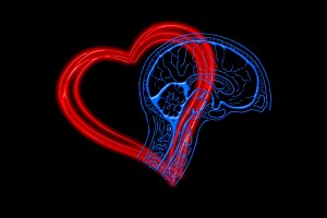 corazon y cerebro