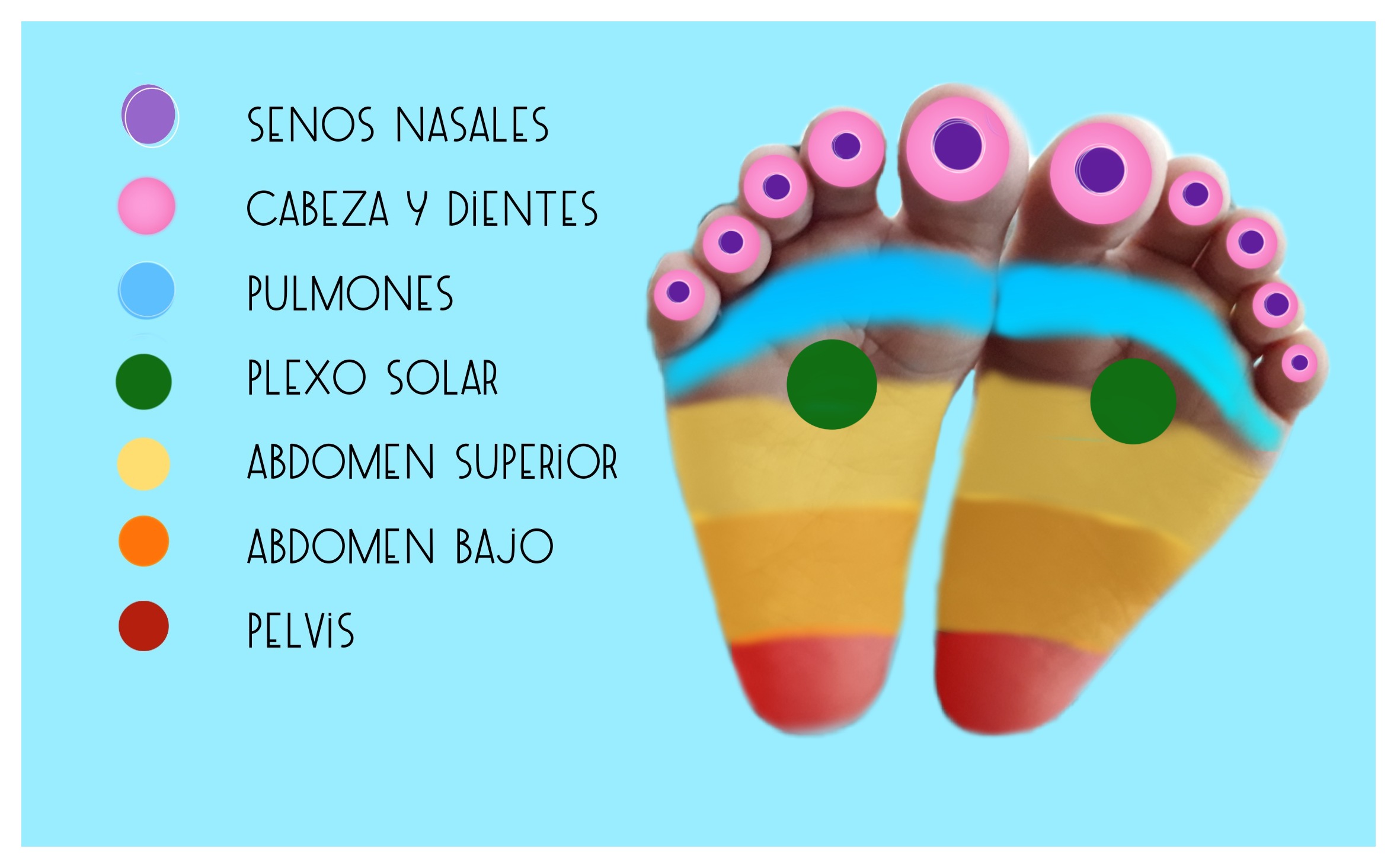 imagen zonas de reflexoterapia podal infantil