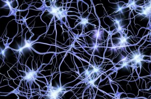 imagen de neuronas conectadas