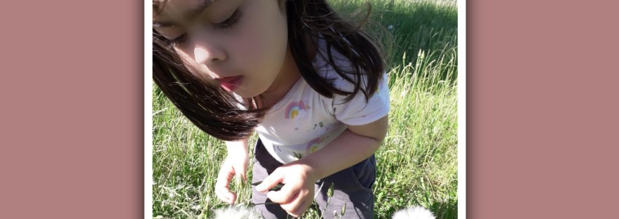 imagen niña sindrome de down en el campo mirando una flor